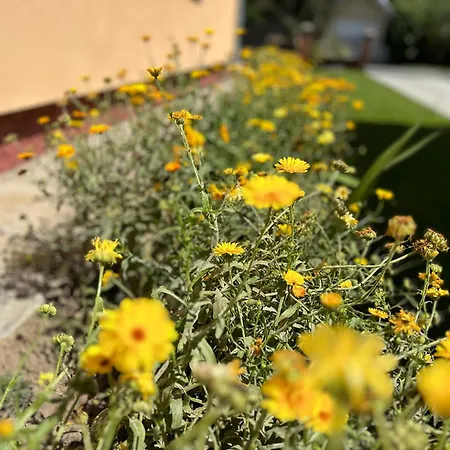 Apartamento Emilia *