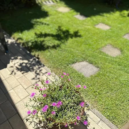 Apartment Emilia Balatonfoldvar