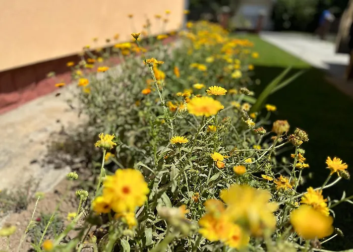 Apartamento Emilia *